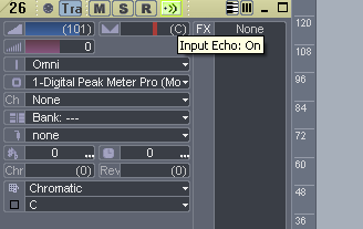 Step 09 - Setup MIDI track echo on